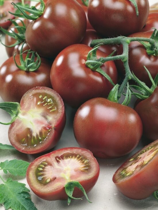 Tomāti Brunito F1, 20 sēklas